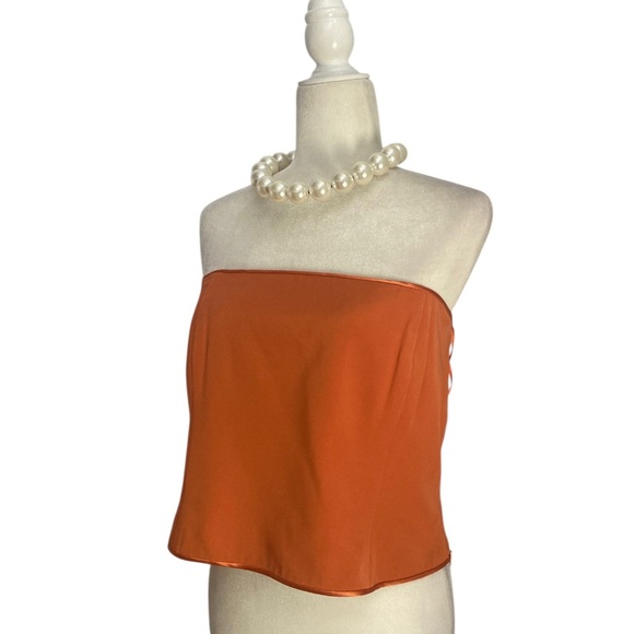 Sylvia Heisel Designer Burnt Orange Silk-Blend Strapless Bustier Top - Picture 4 of 7